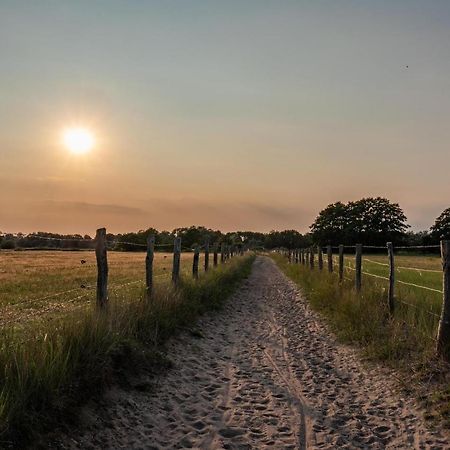 Ostsee Domizil غرال موريتز المظهر الخارجي الصورة