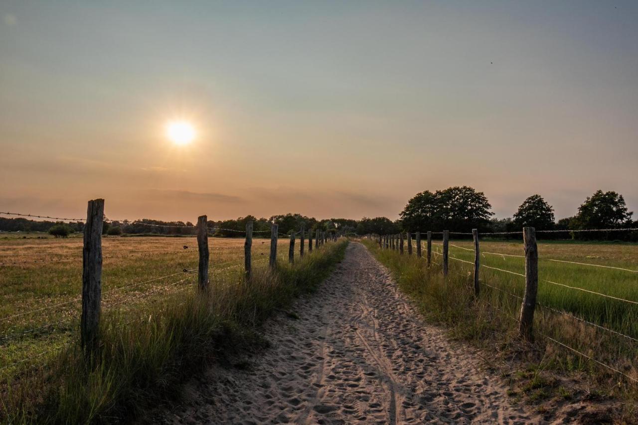 Ostsee Domizil غرال موريتز المظهر الخارجي الصورة