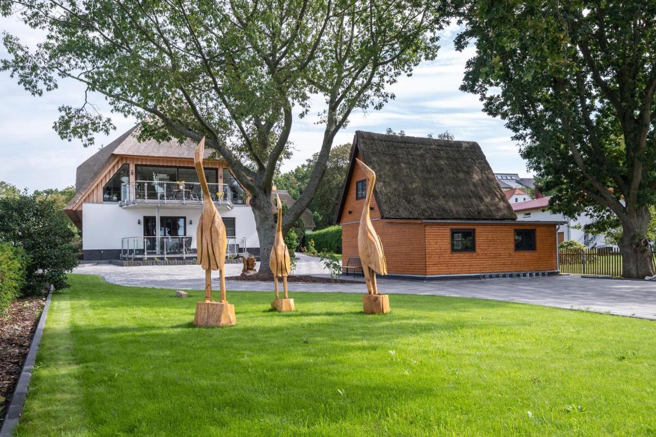 Ostsee Domizil غرال موريتز المظهر الخارجي الصورة